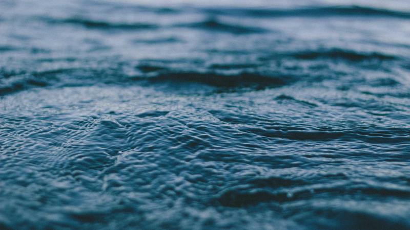 Featured image for Agntup Com article