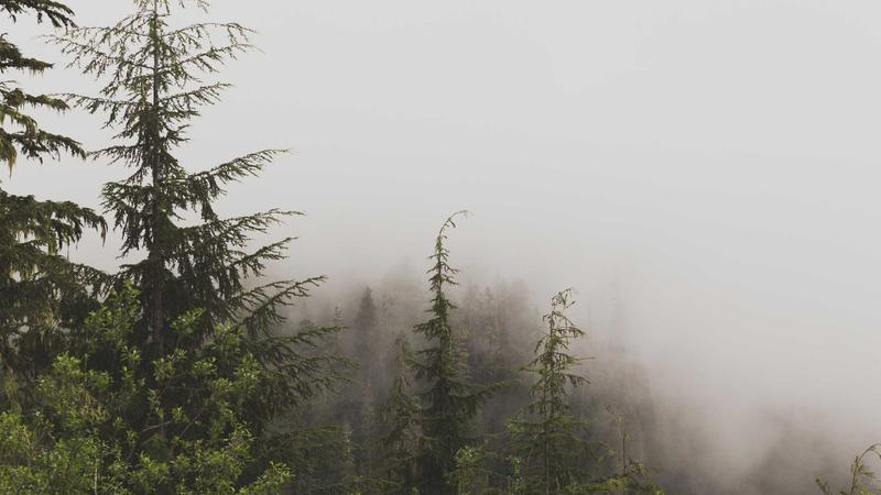 Featured image for Agntup Com article