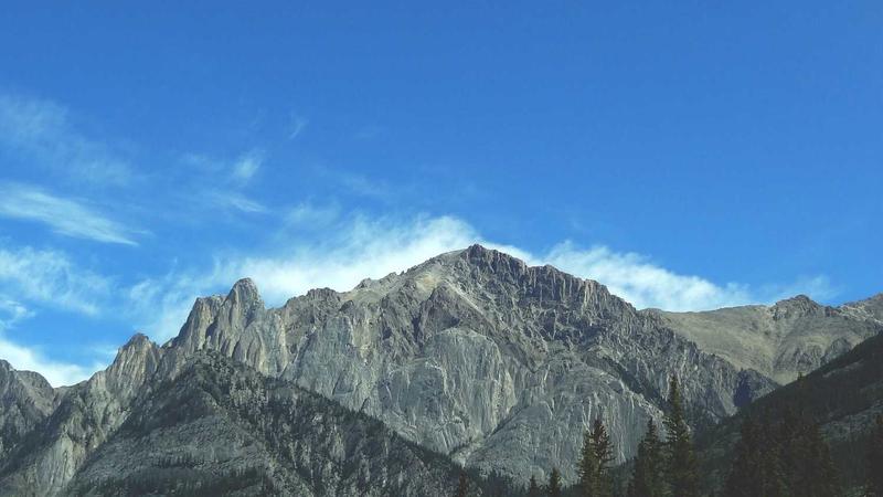 Featured image for Agntup Com article