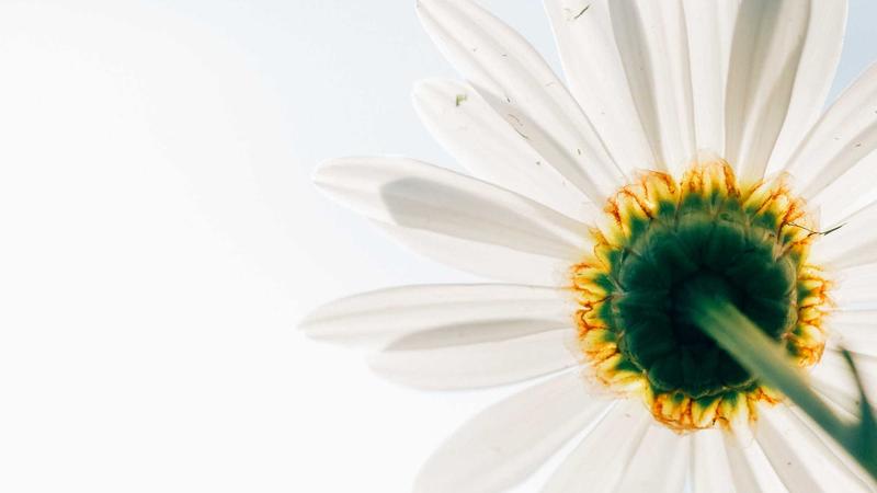 Featured image for Agntup Com article