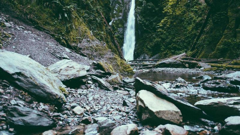 Featured image for Agntup Com article