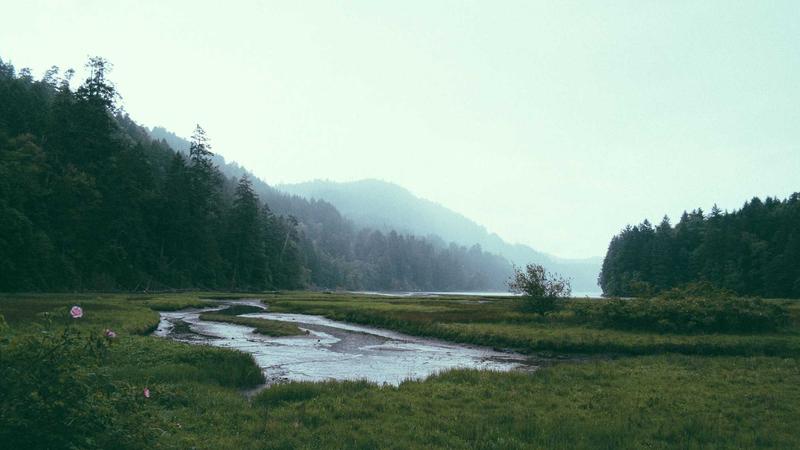 Featured image for Agntup Com article