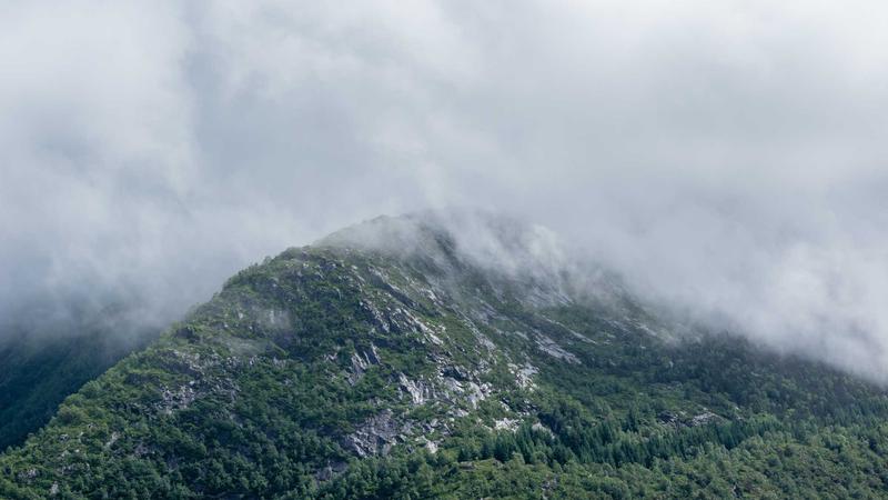 Featured image for Agntup Com article