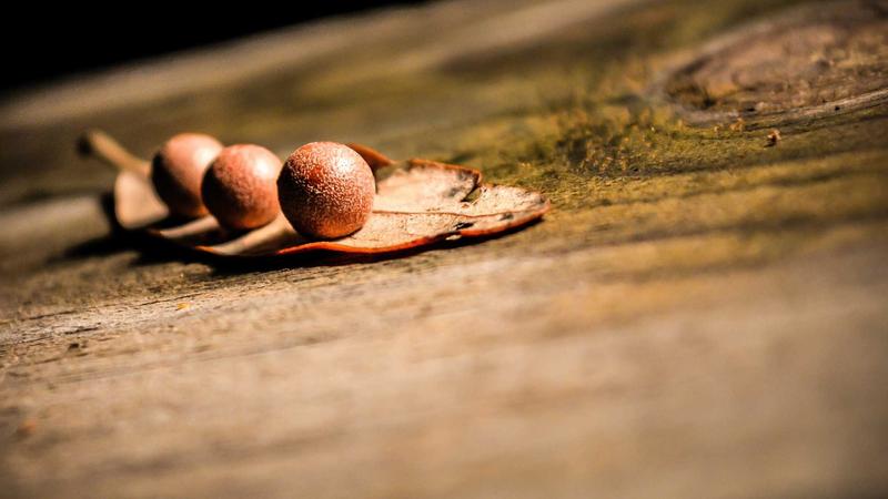 Featured image for Agntup Com article