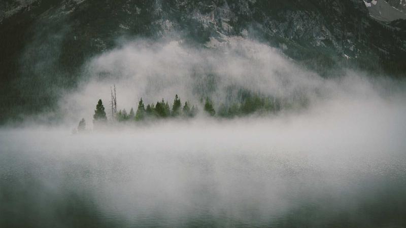 Featured image for Agntup Com article