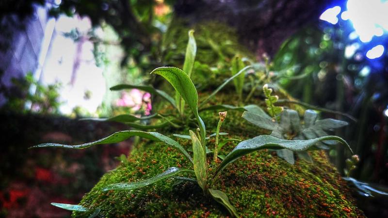 Featured image for Agntup Com article