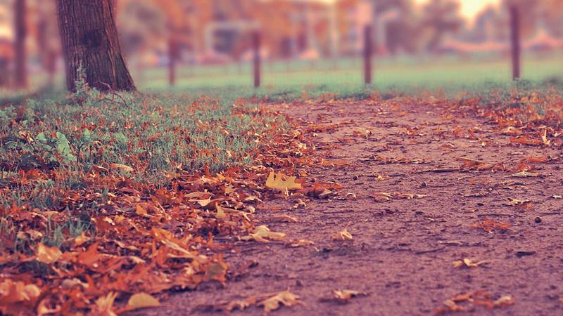 Featured image for Agntup Com article