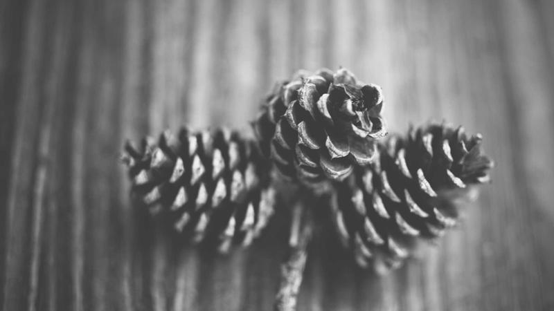 Featured image for Pipeline Monitoring and Alerting Guide