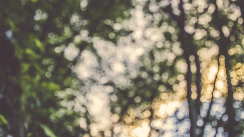 Featured image for CI CD Security for AI Agent Projects