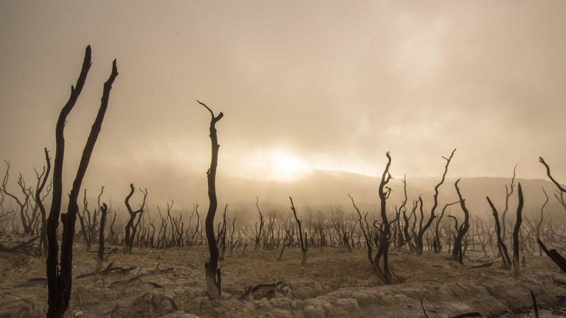 Featured image for GitOps Workflow for Agent Deployments