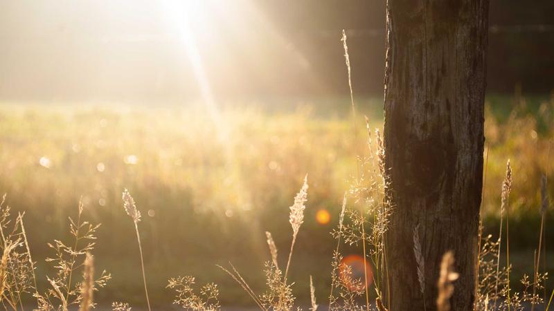 Featured image for Agntup Com article